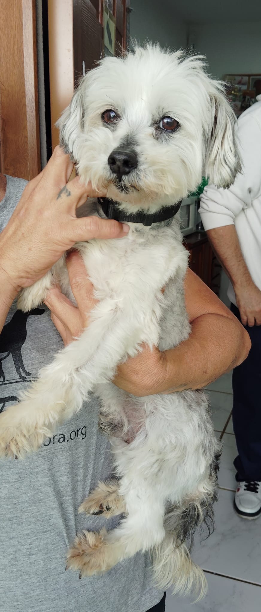 Copito -RESERVADO-