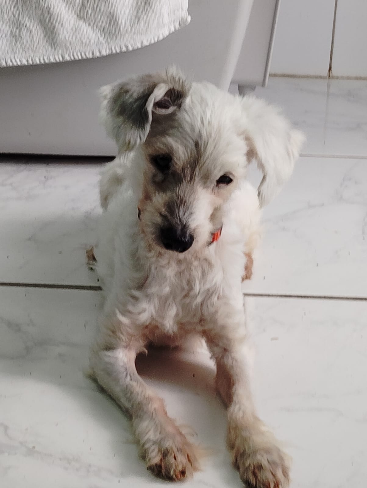 Tyson- RESERVADO-